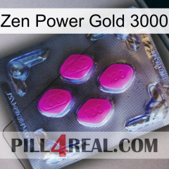 Zen Power Gold 3000 02